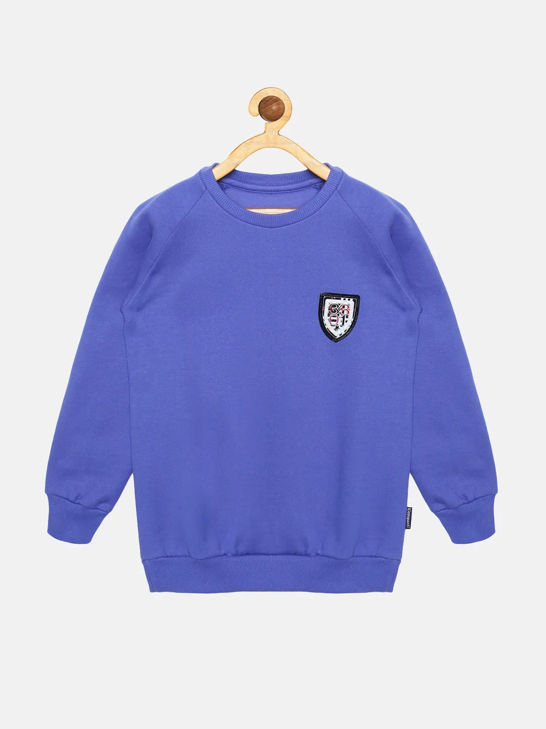 Boys Round Neck Sweatshirt With Applique