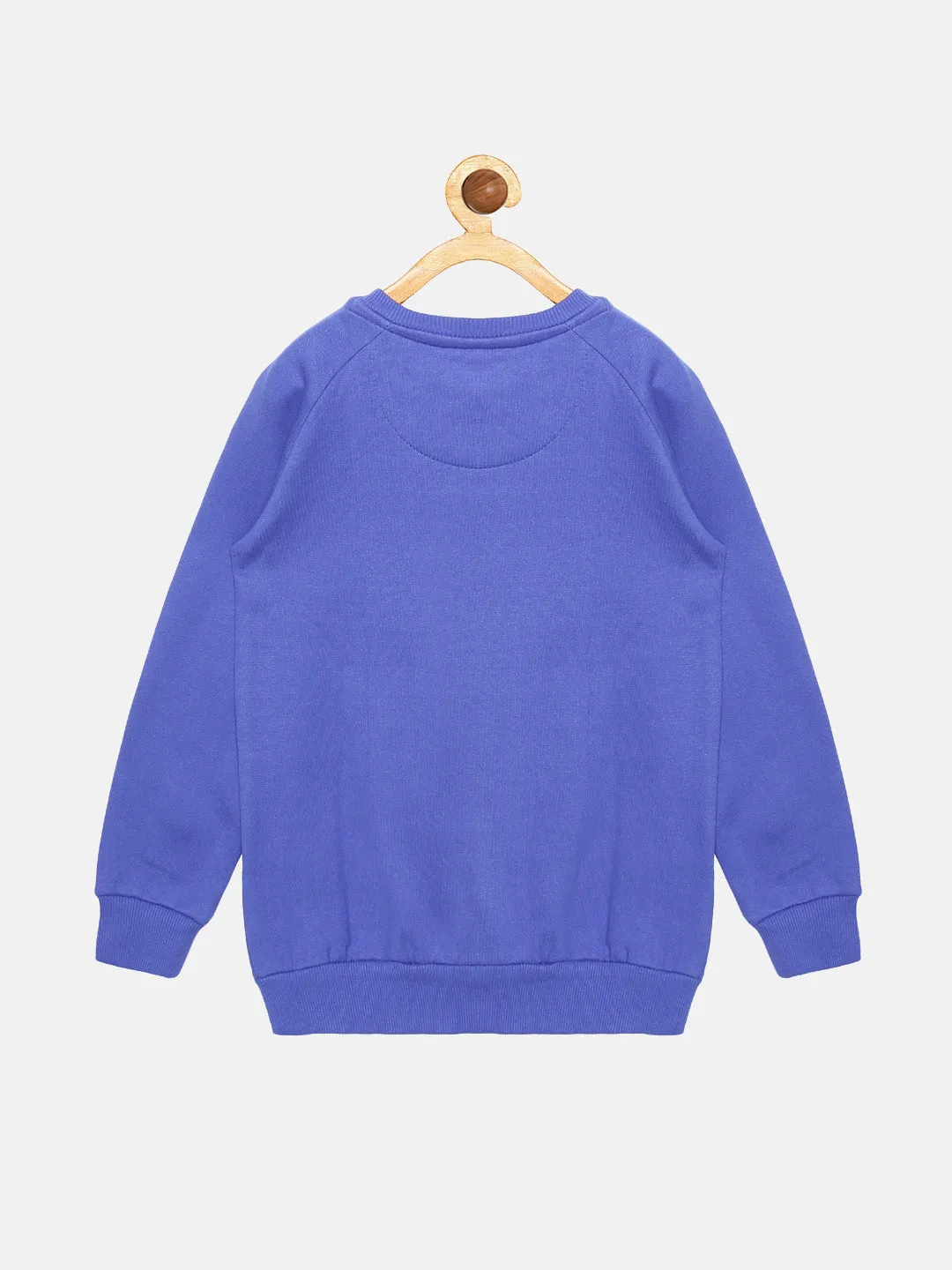 Boys Round Neck Sweatshirt With Applique