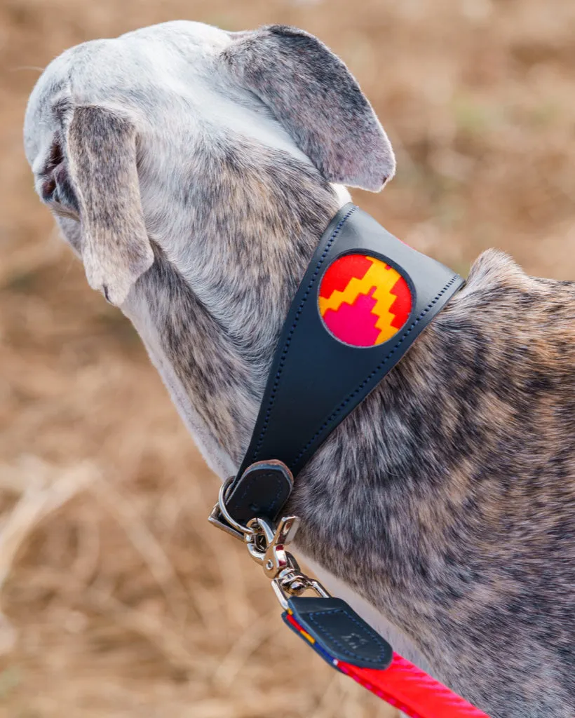 Dakar Hound Collar