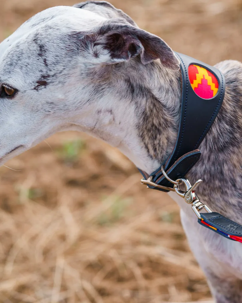 Dakar Hound Collar