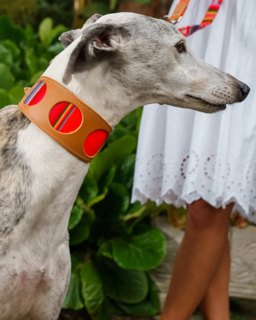 Inca Orange Hound Collar