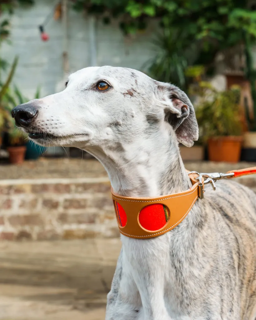 Inca Orange Hound Collar