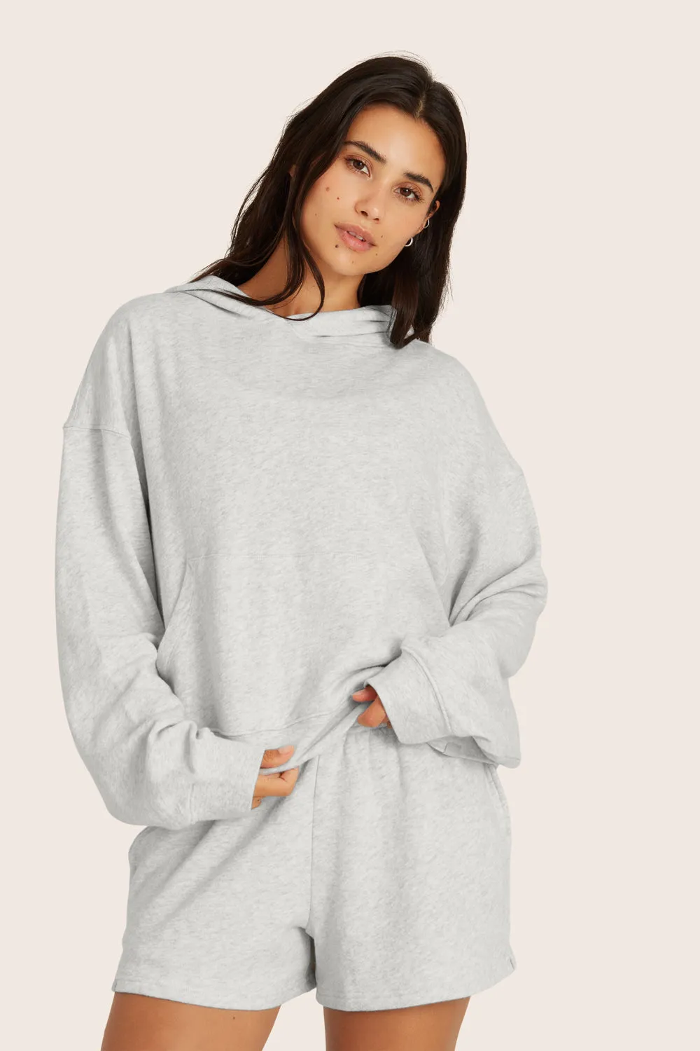 LIGHTWEIGHT SWEATS CLASSIC HOODIE - HEATHER GREY