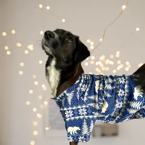 Winter Wonderland Dog Shirt